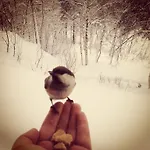 Birk Bed&birds *