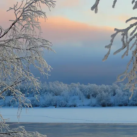 住宿加早餐酒店 Birk Bed & Birds