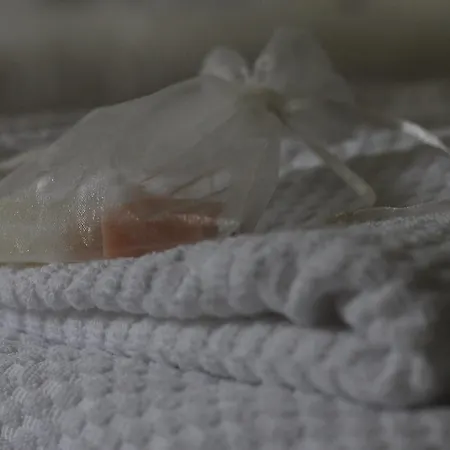 住宿加早餐酒店 Birk Bed & Birds