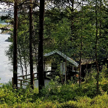 Bed and breakfast Birk Bed & Birds *