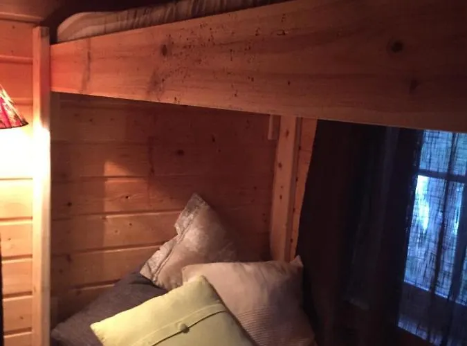 Birk Bed & Birds Svanvik