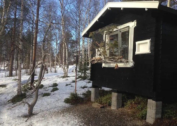 Oda ve Kahvaltı Birk Bed&birds