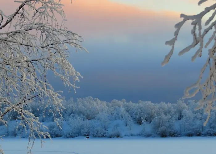 Oda ve Kahvaltı Birk Bed&birds