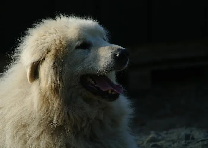 Bed & Breakfast Birk Bed & Birds