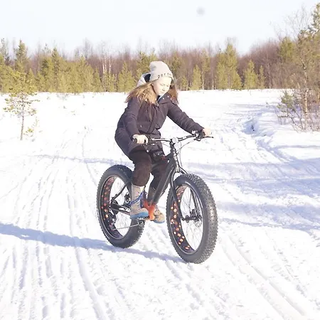 Birk Bed & Birds * Svanvik
