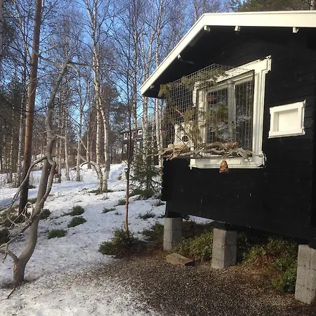 Bed & Breakfast Birk Bed & Birds