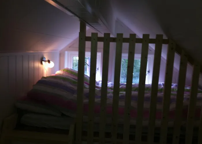 Birk Bed & Birds * Svanvik